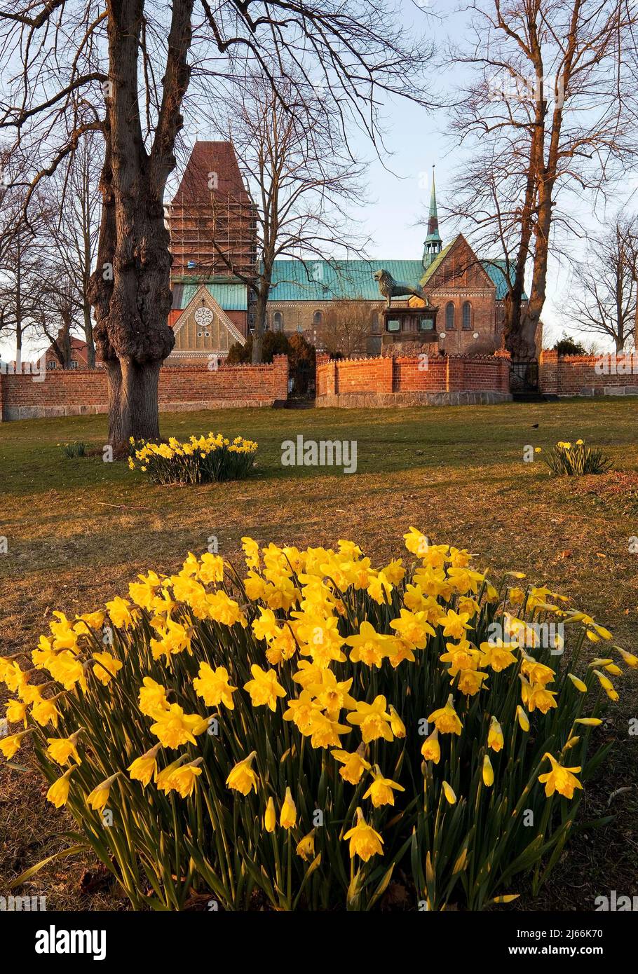 Ratzeburger Dom im Fruehling, Ratzeburg, Schleswig-Holstein ...