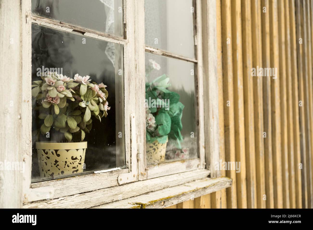 Altes Holzfenster von aussen mit Plastikblumen, Vaermland, Schweden Stock Photo