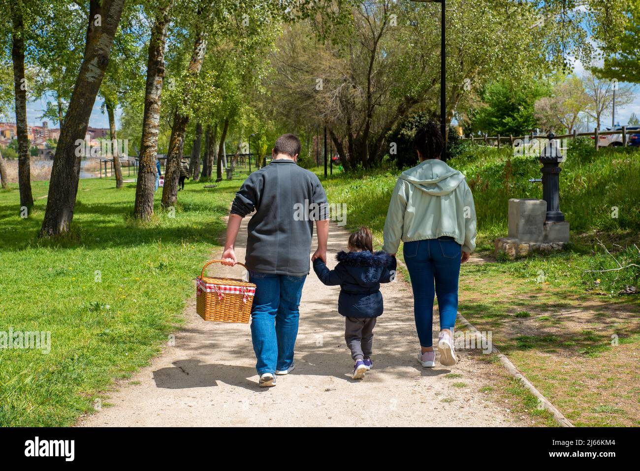 Family picnic basket park boy hi-res stock photography and images - Alamy