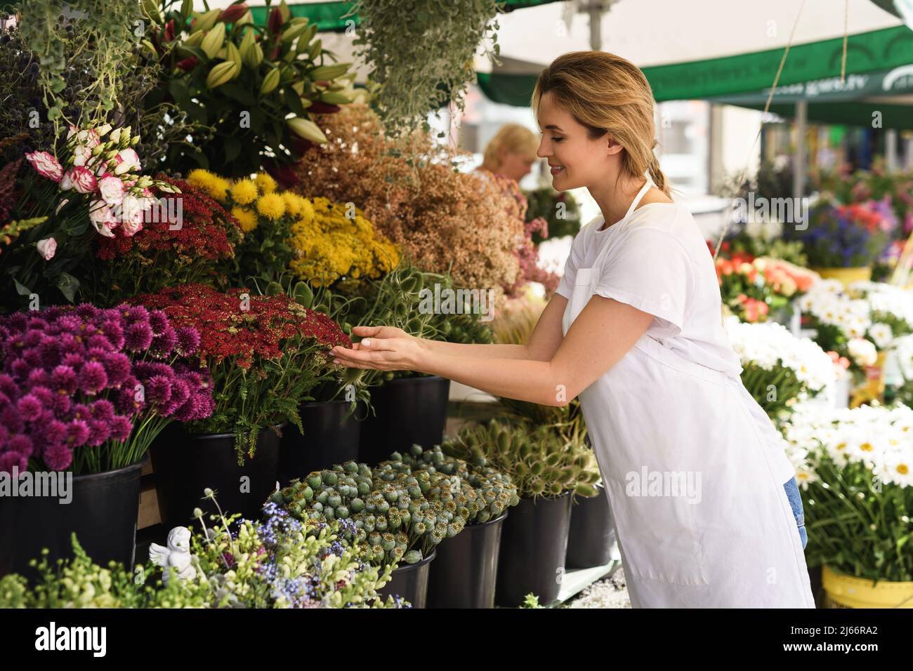 Beautiful woman florist working in her little flower shop Stock Photo ...