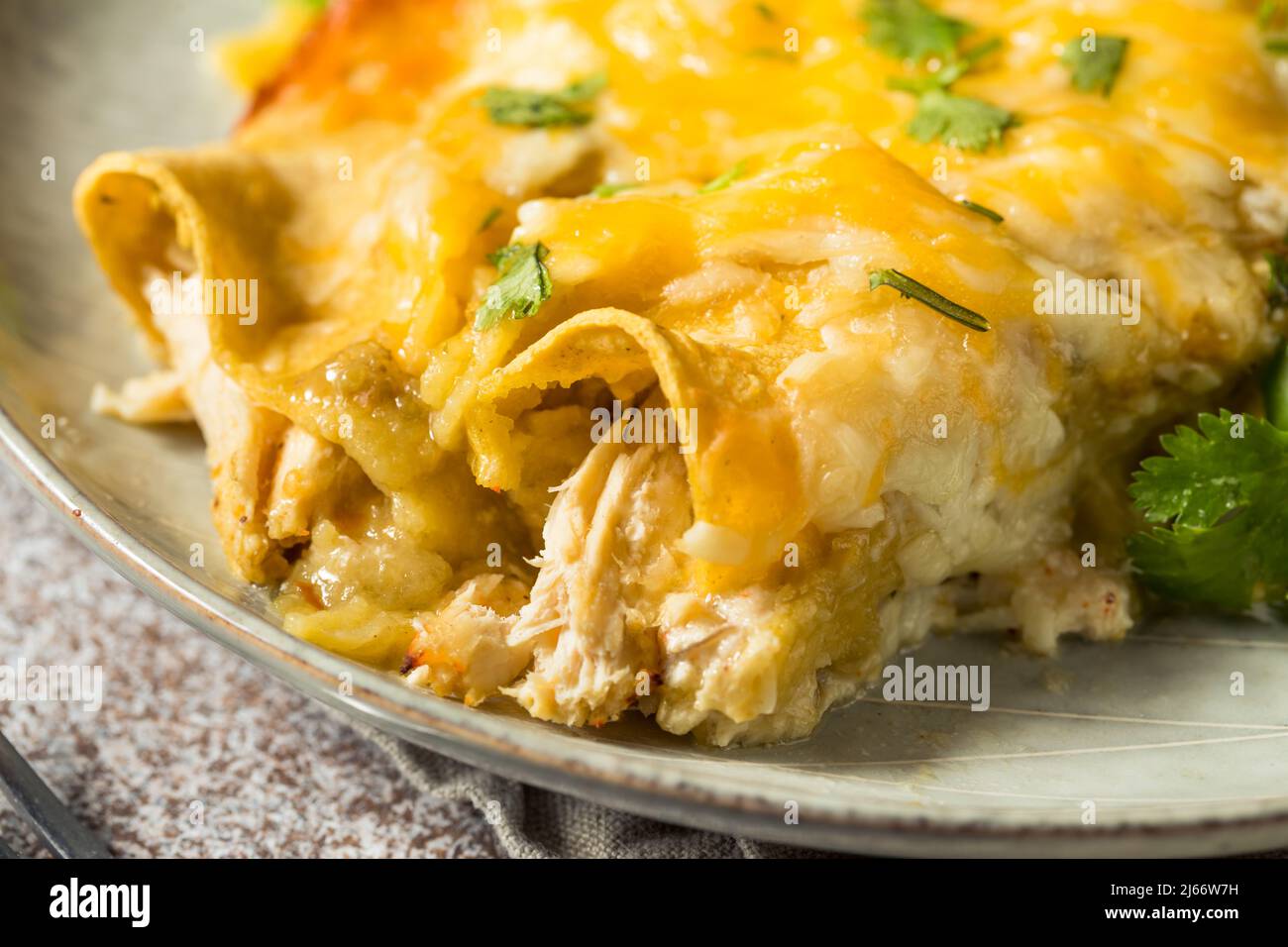 Homemade Mexican Tomatillo Green Enchiladas with Chicken and Cilantro