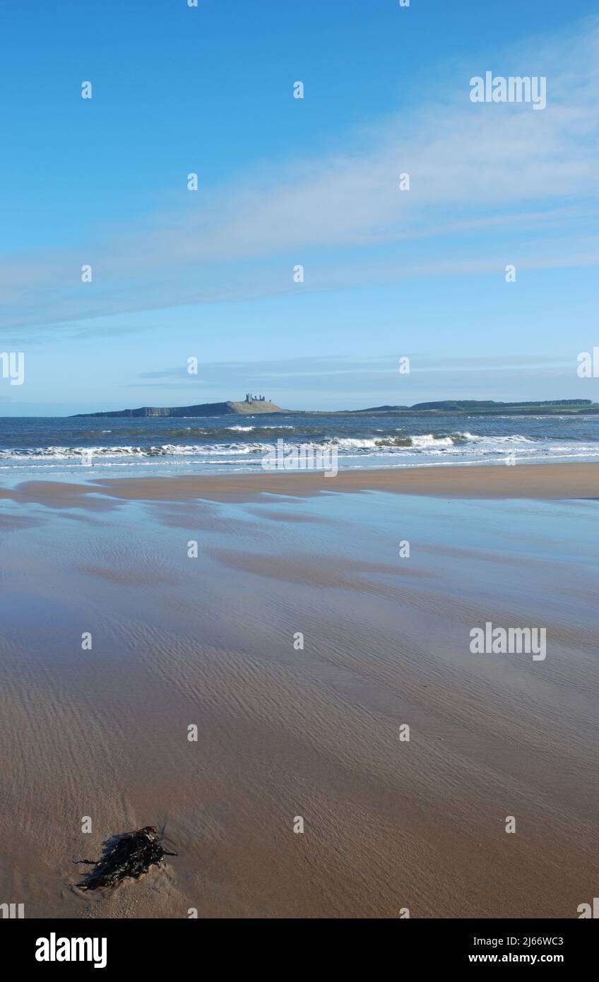 Portrait style image of adistant Dunstanburgh Castle on Whin Sill ridge and cliff seen from the open beach near Embleton Stock Photo