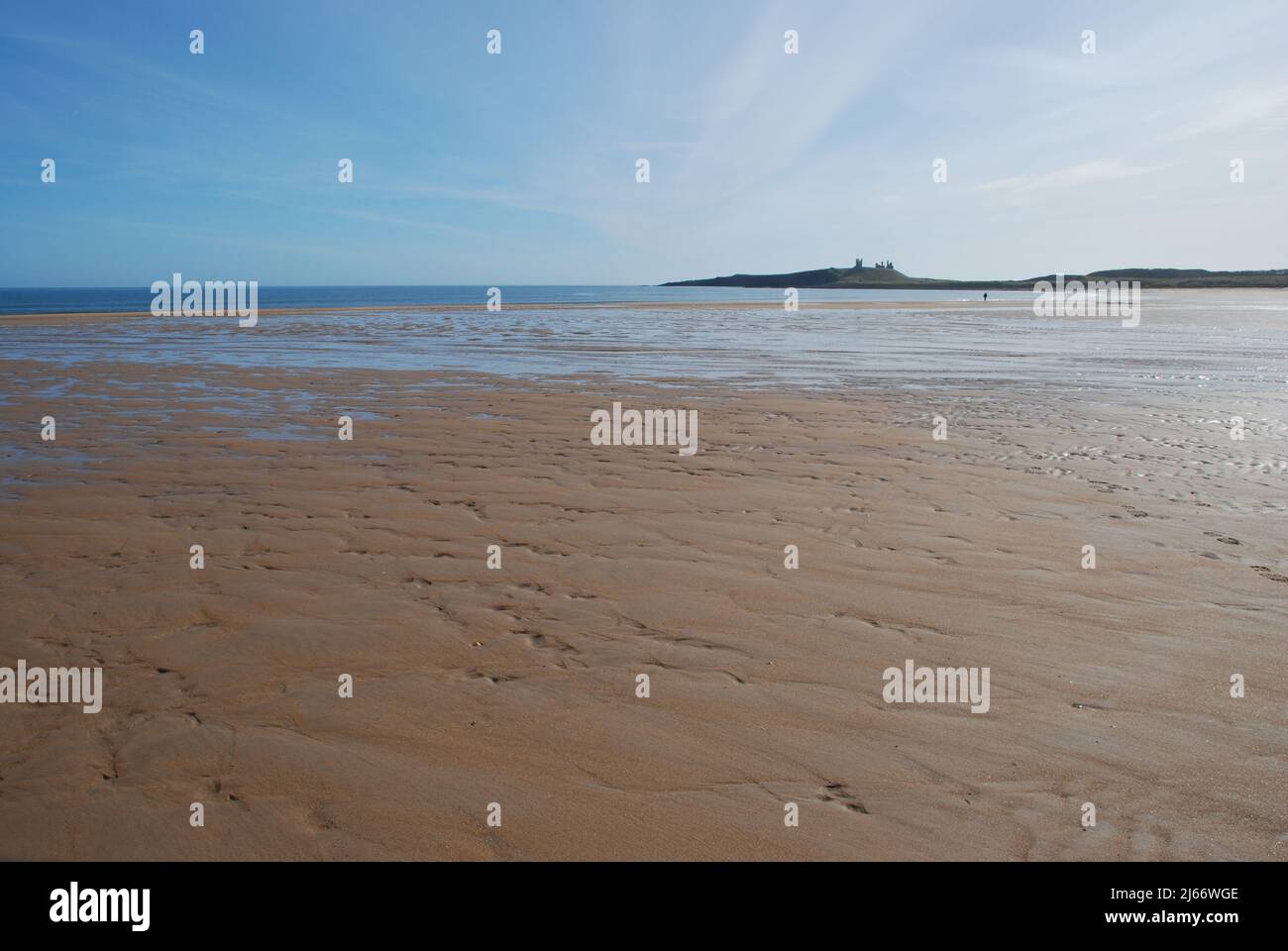 Panoramic style image of the vast open beach of Embleton Bay with a distant Dunstanburgh Castle on its basalt ridge and a lone distant figure Stock Photo