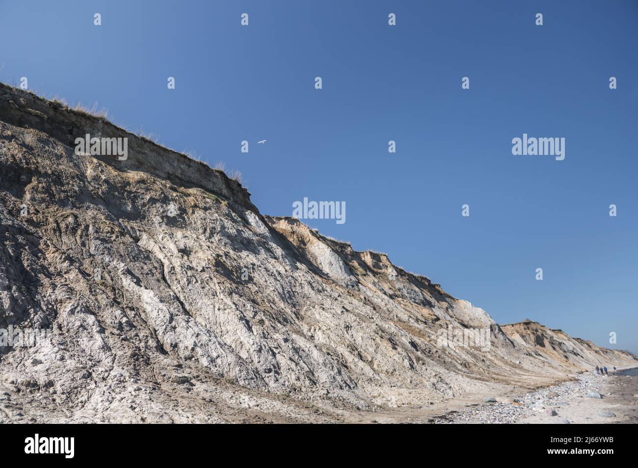 Beauty of big precipice at blu clear Baltic sea with stones beach Stock ...