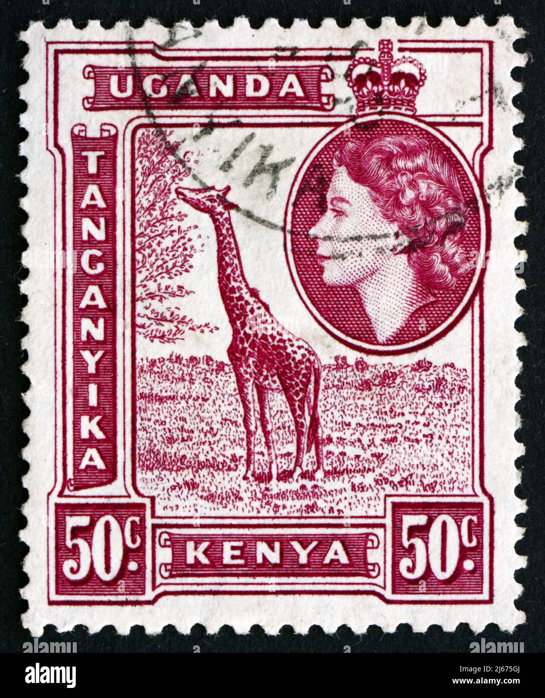 EAST AFRICAN POSTAL UNION - CIRCA 1954: a stamp printed in the East African Postal Union (Kenya, Uganda, Tanganyika) shows Giraffe, Giraffa Camelopard Stock Photo