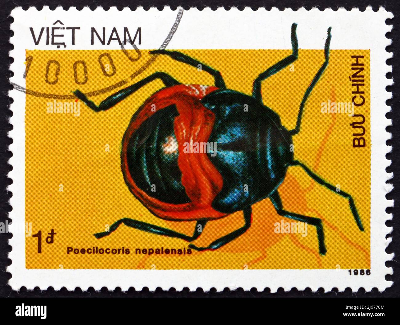 VIETNAM - CIRCA 1986: a stamp printed in Vietnam shows Shield Bug, Poecilocoris Nepalensis, Insect, circa 1986 Stock Photo