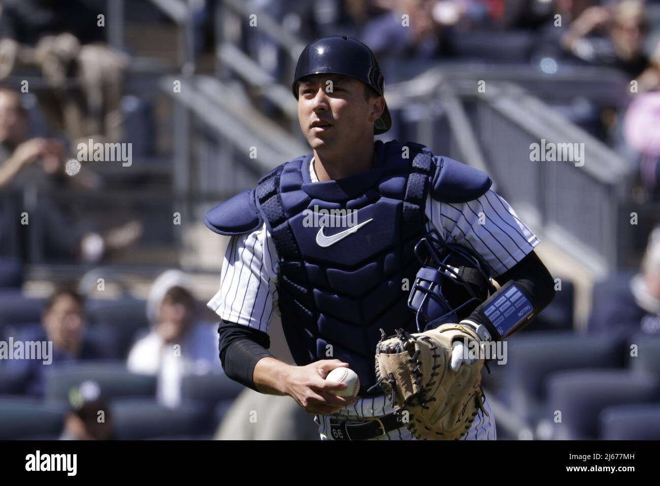 Chicago, USA. 08th Aug, 2023. New York Yankees catcher Kyle Higashioka (66)  hits a home run in the eighth inning during a MLB regular season game  between the New York Yankees and