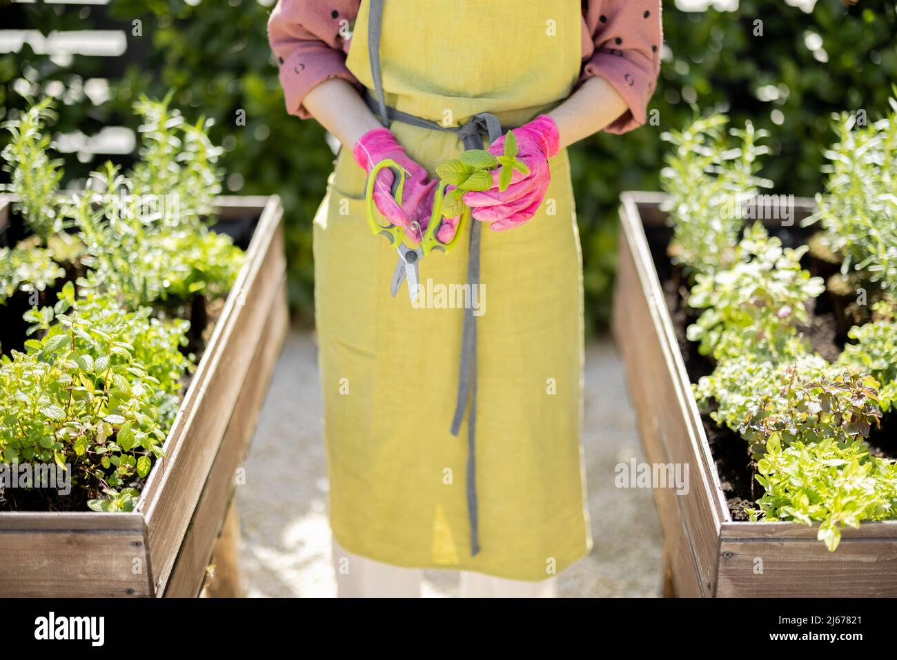 Cut green apron hi-res stock photography and images - Alamy