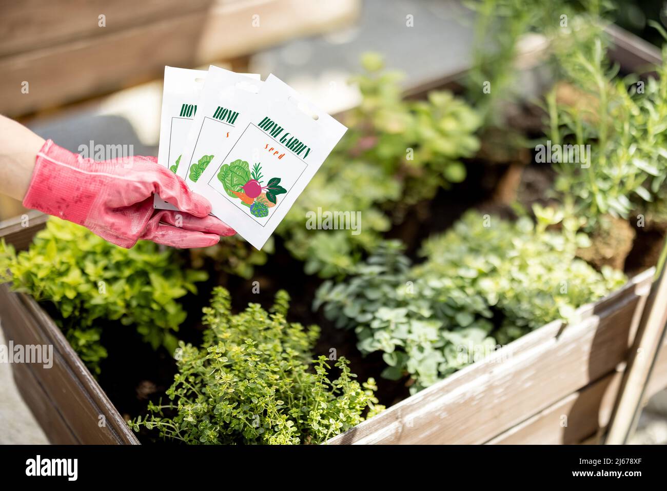 Vegetable seeds in paper packet Stock Photo - Alamy