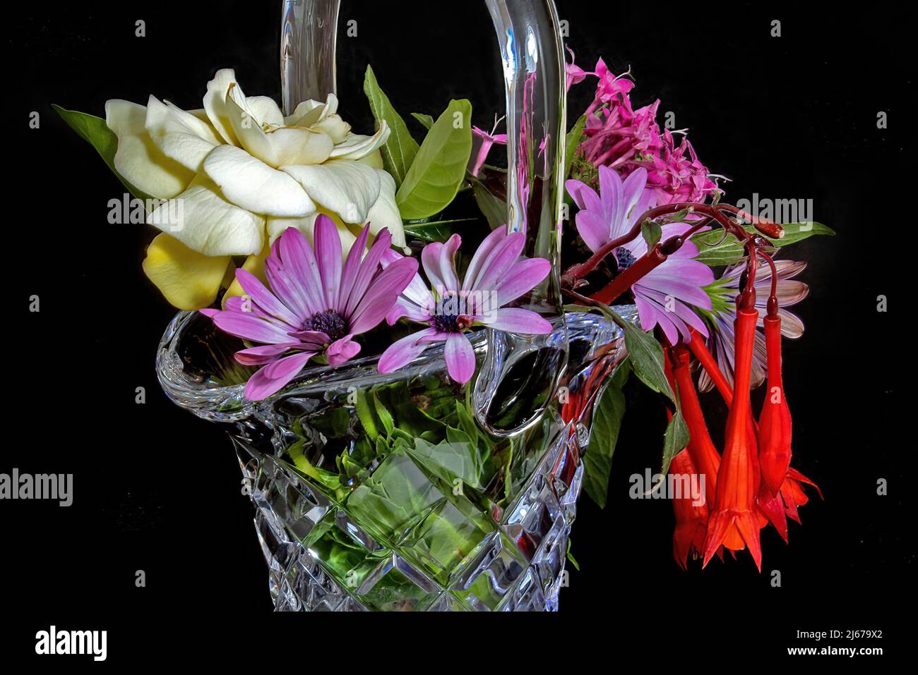 Collection of mixed colourful fresh flowers in a beautiful Cut Glass Basket Vase isolated on a black coloured background. Wall art and decoration imag Stock Photo