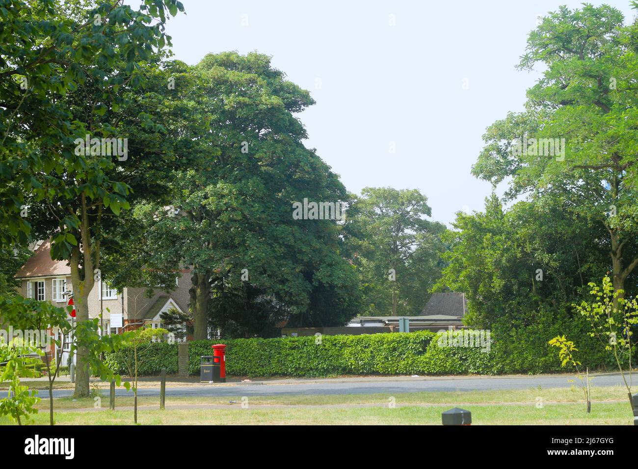 View of greenery trees and red post box from across the road in Brentwood high street, Essex, Britain Stock Photo