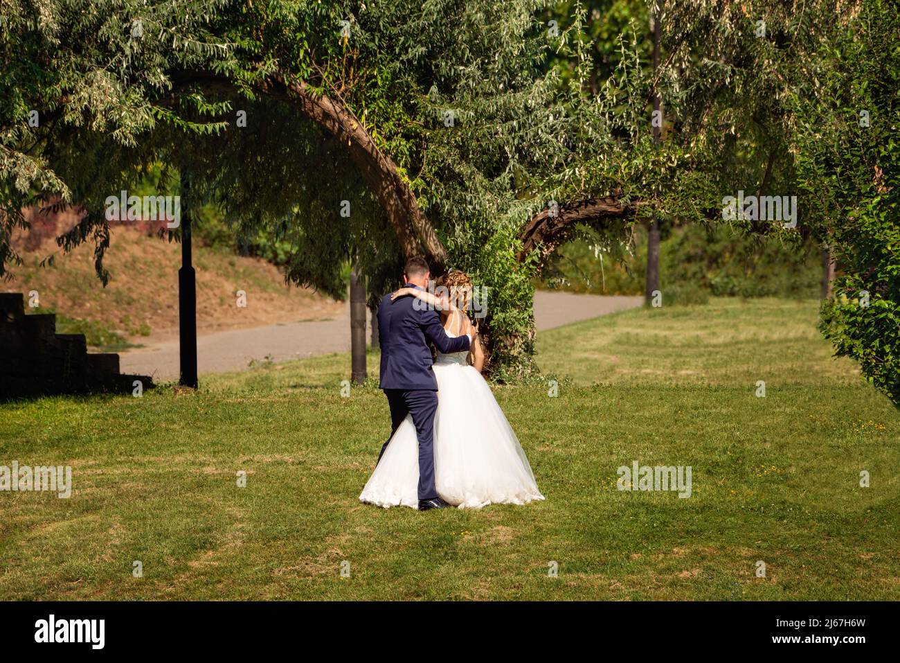 Wedding couple in grass meadow near an arched tree Stock Photo