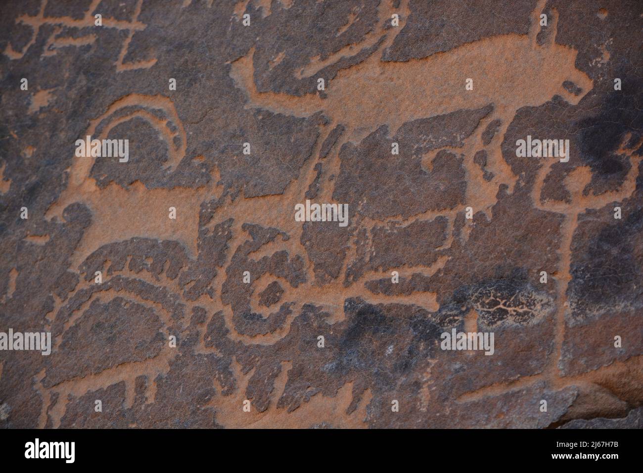 Ancient rock art from Saudi Arabia showing human and animals Stock Photo