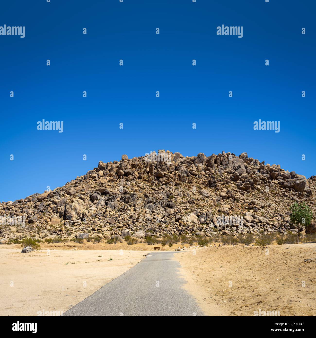 Asphalt walking path to a rock formation hill in the Mojave Desert Stock Photo