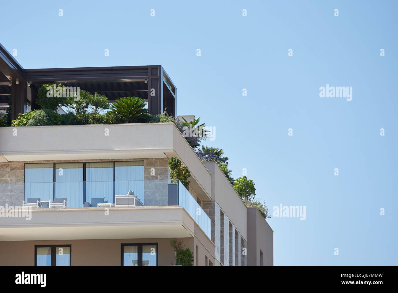 Palms and plants on the rooftop patio in Europe Stock Photo