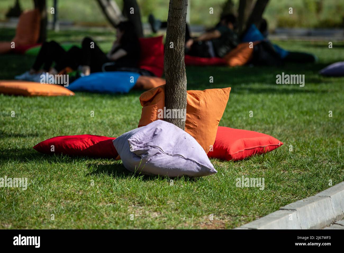 Students sitting on cushions under trees Stock Photo Alamy