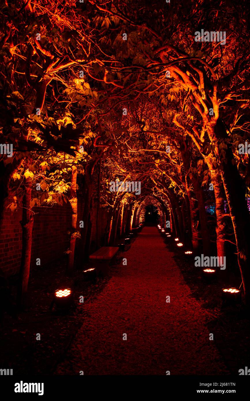 Colonial Williamsburg Palace Garden at night, illuminated arbor in orange lighting as part of the Richmond Lighting and Sound Company CW Light Show. Stock Photo