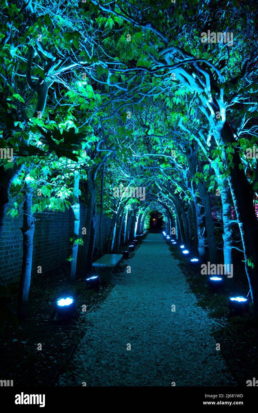 Colonial Williamsburg Palace Garden at night, illuminated arbor in green lighting as part of the Richmond Lighting and Sound Company CW Light Show. Stock Photo