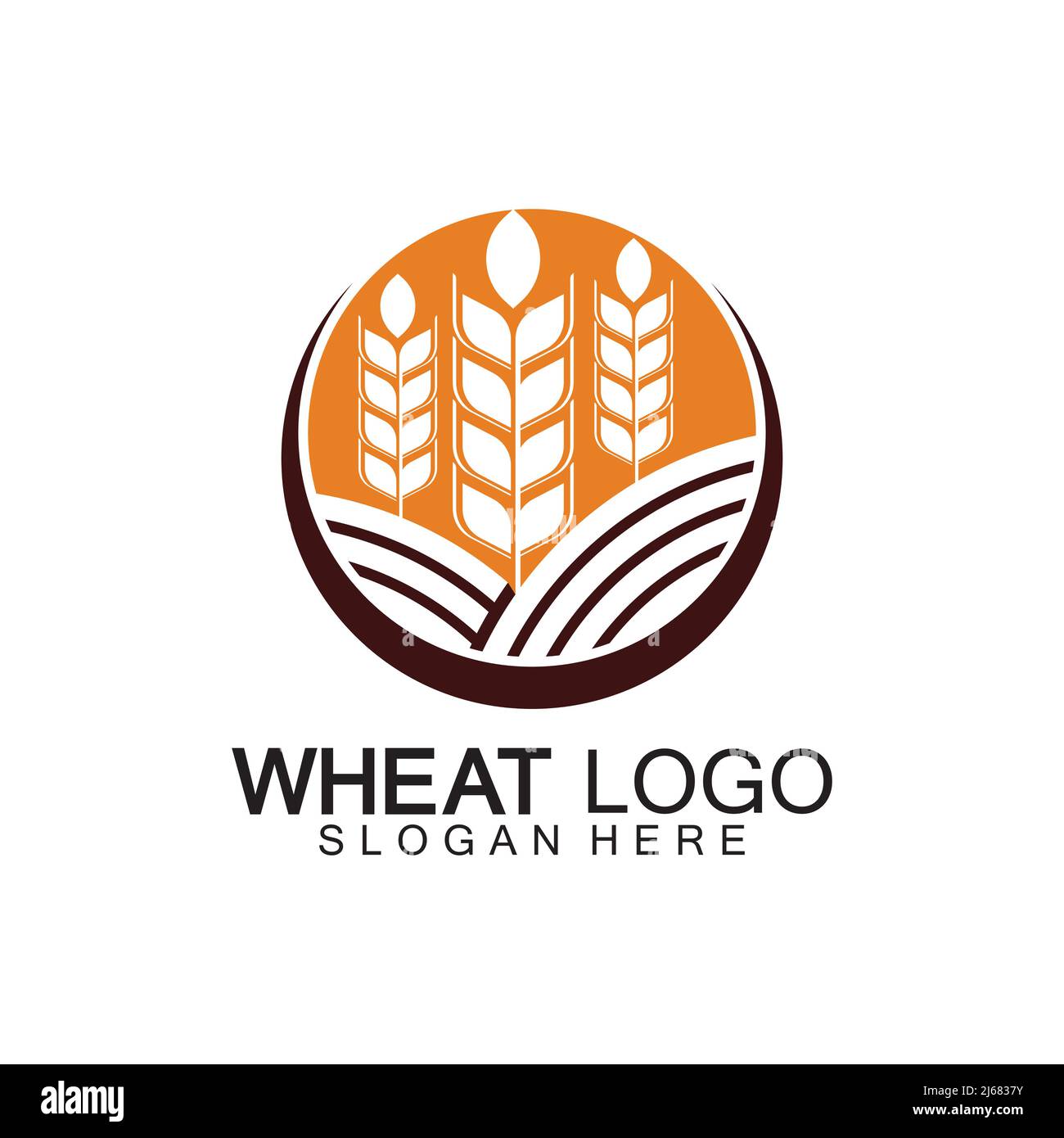 Agriculture Wheat logo template vector icon design Stock Vector
