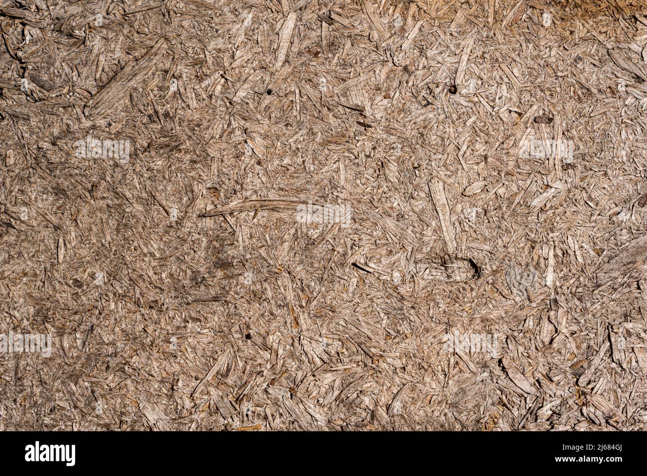 Old wood texture background  Stock Photo
