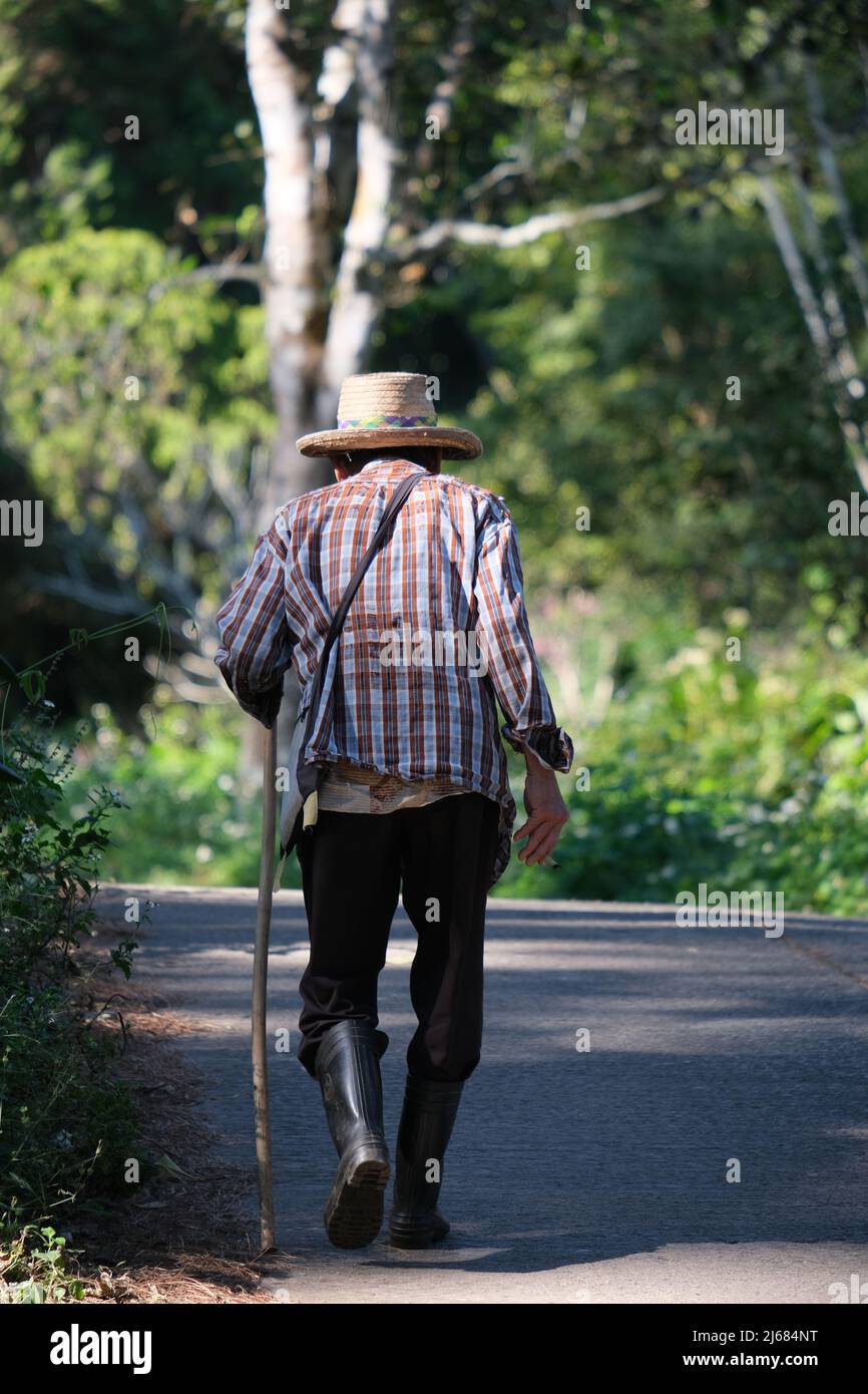 Aging visualized: elderly Thai villager goes uphill, leaning on stick Stock Photo