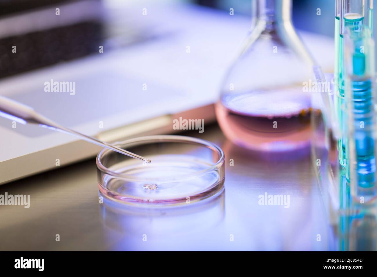 Dominant hue of pink, drug research and development laboratory - stock photo Stock Photo