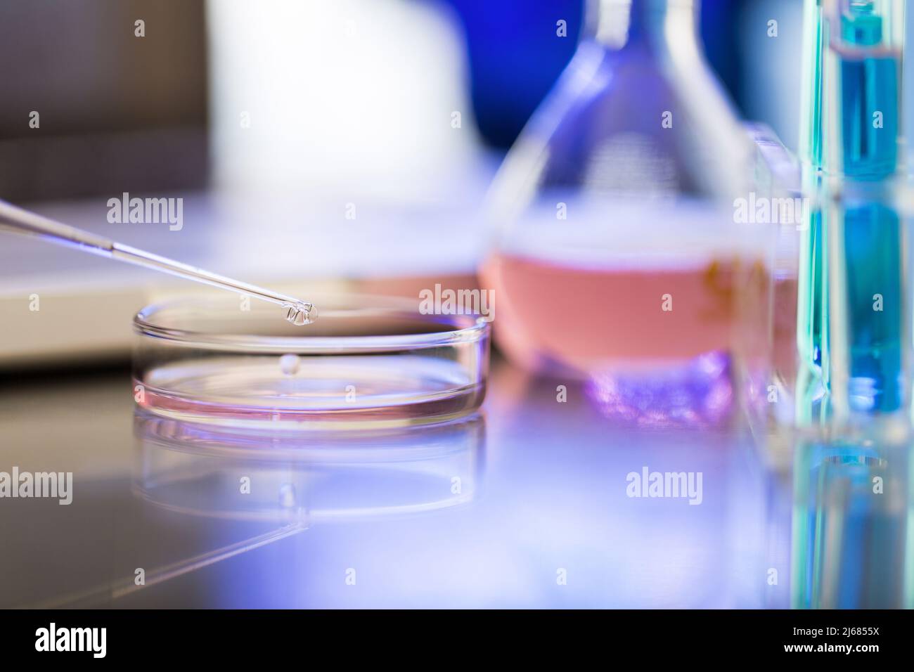 Dominant hue of pink, drug research and development laboratory - stock photo Stock Photo
