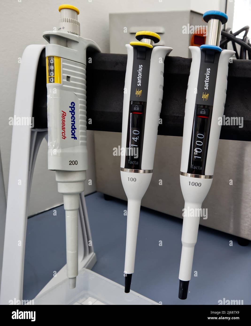Sartorius Tacta and Eppendorf Manual Micro Pipette on display Stock