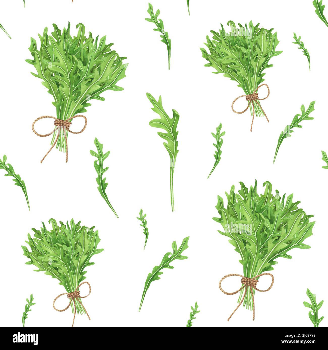 Fresh leaves arugula seamless pattern on white background. Watercolor ...
