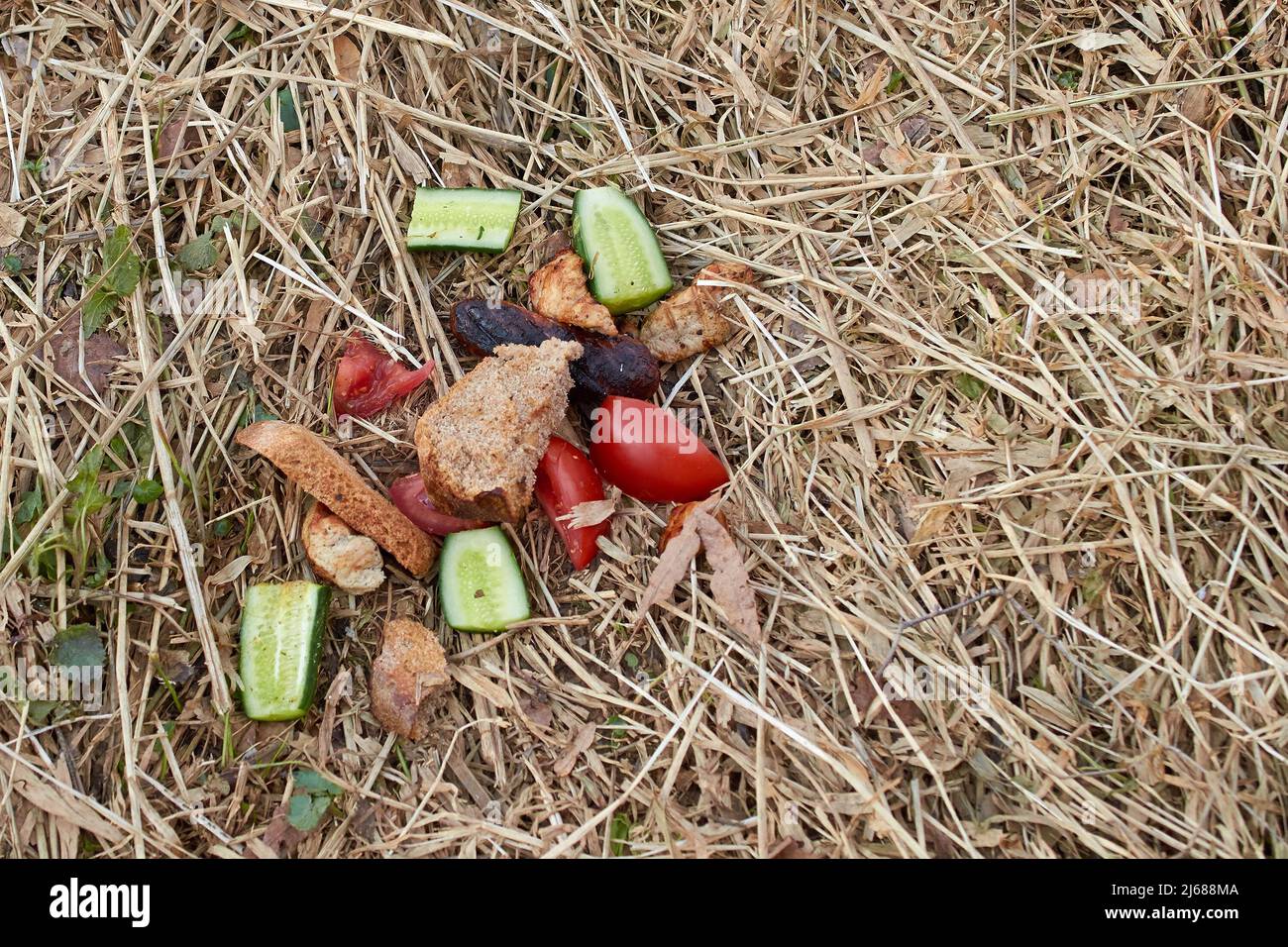 Half-eaten pieces of vegetables and rye bread lie on the dry grass Stock Photo