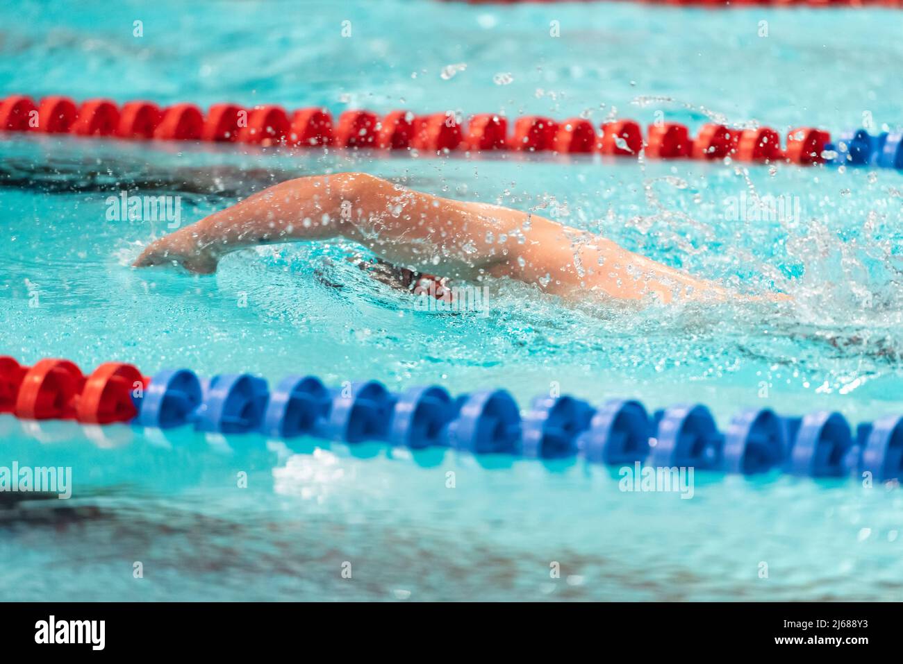 front crawl swimming in a pool Stock Photo Alamy