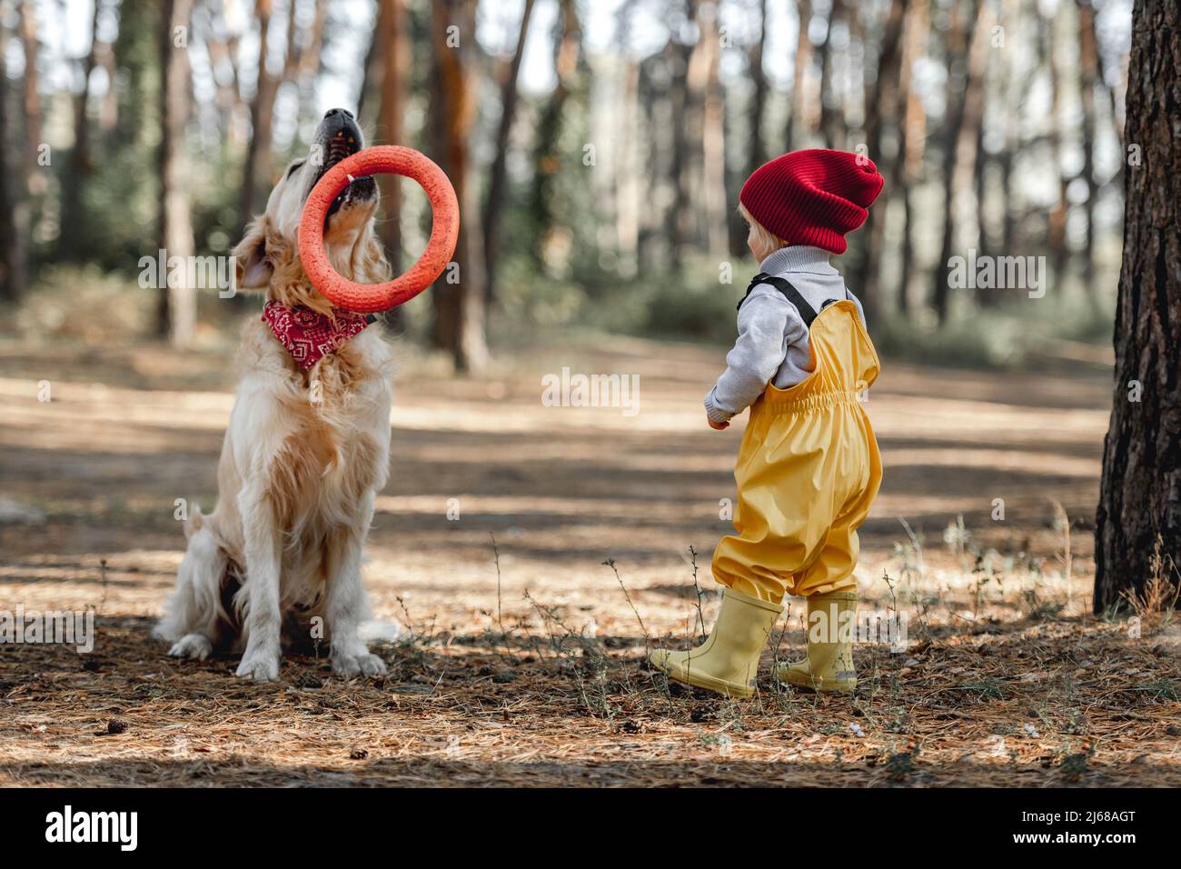Little girl with golden retriever dog in the forest Stock Photo - Alamy