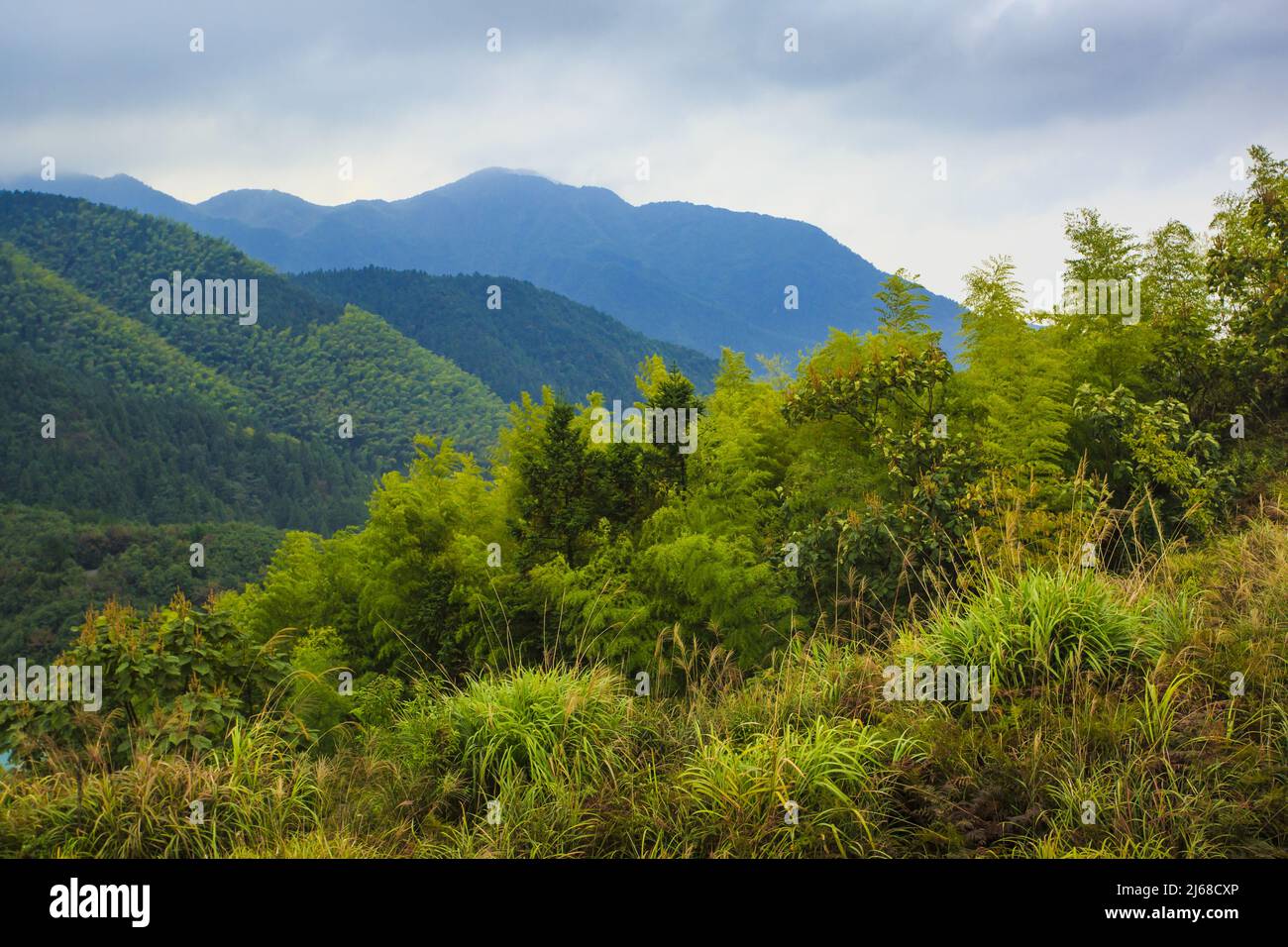 Four are SongYang Stock Photo