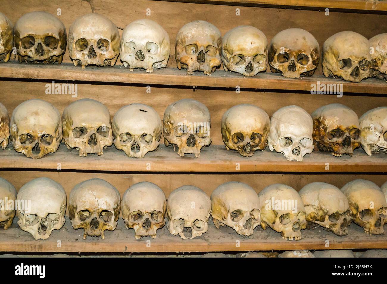 Ancient greek anatomy hi-res stock photography and images - Alamy