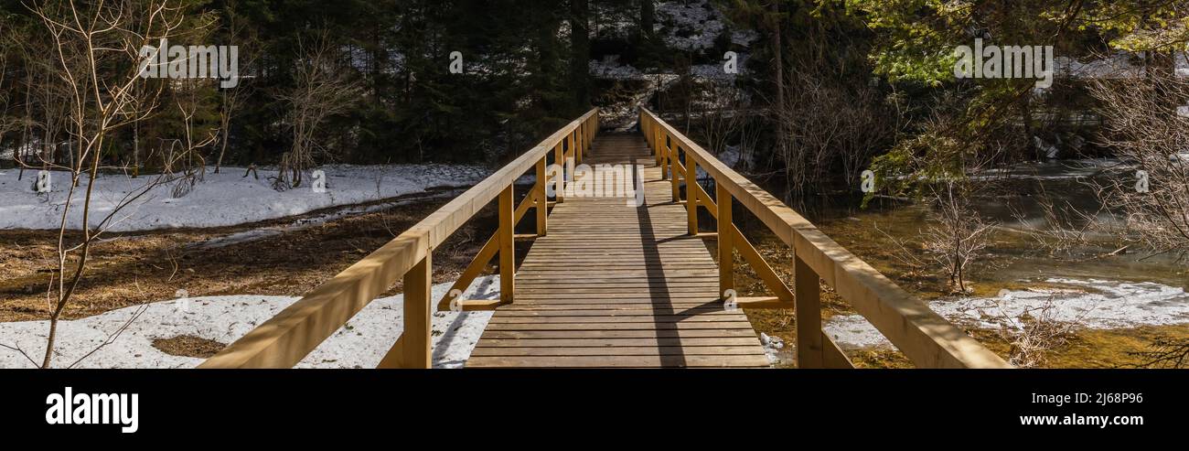 Springtime Forest Bridge Wooden bridge with sunlight in spring forest, banner Stock Photo - Alamy