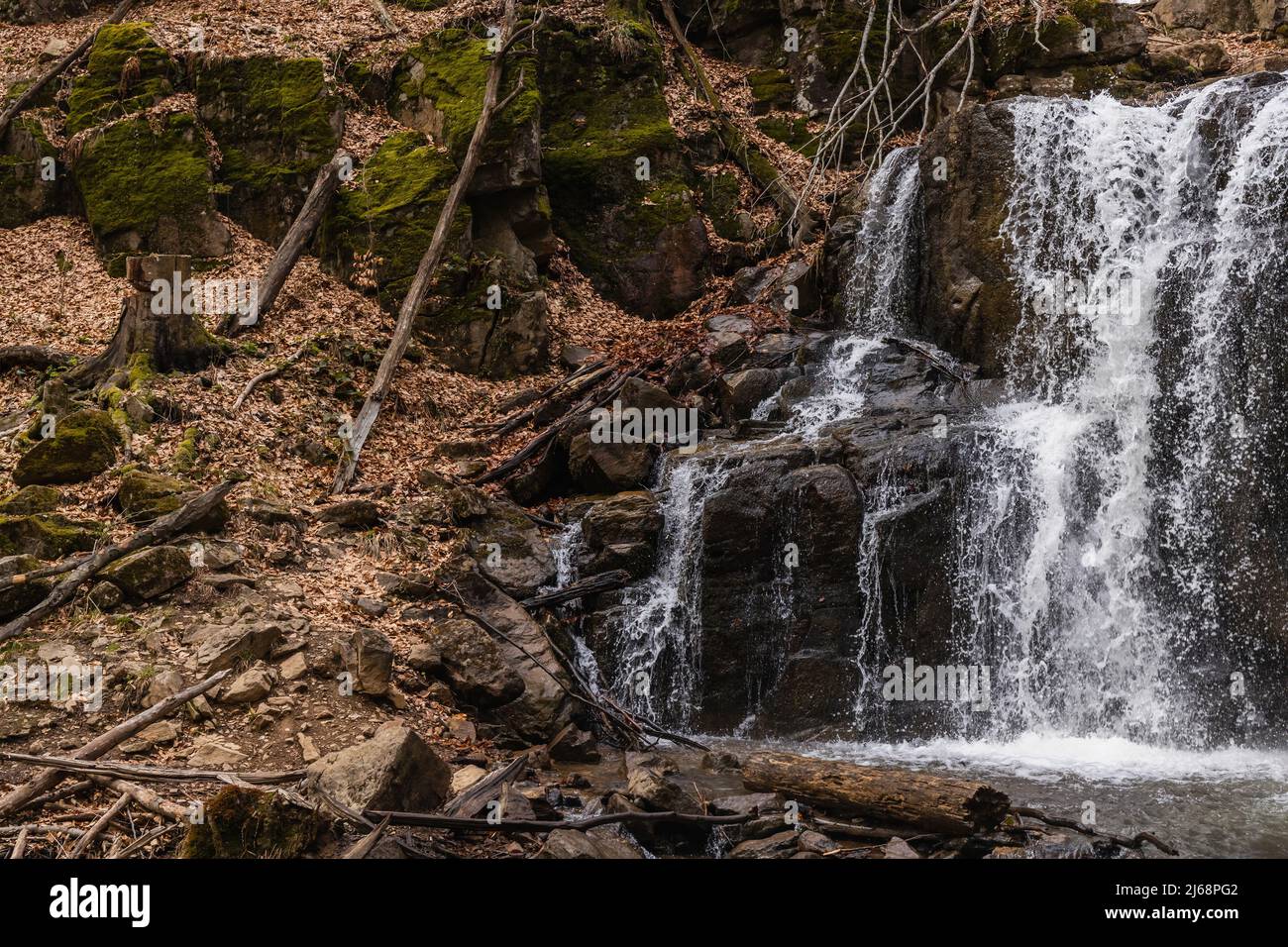Stones and dry leaves on ground near mountain creek Stock Photo Alamy