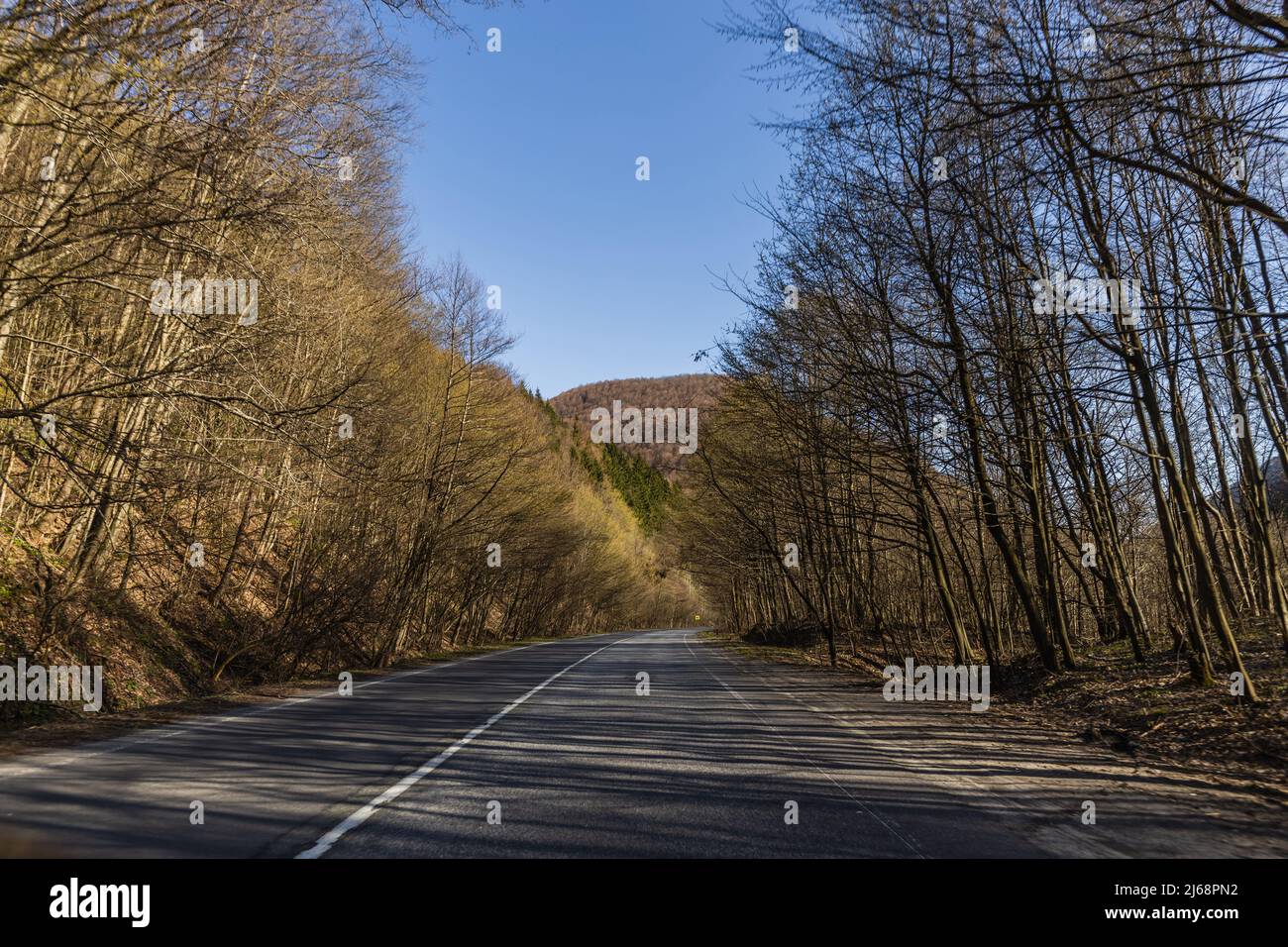 Empty road between mountain forest hi-res stock photography and images ...