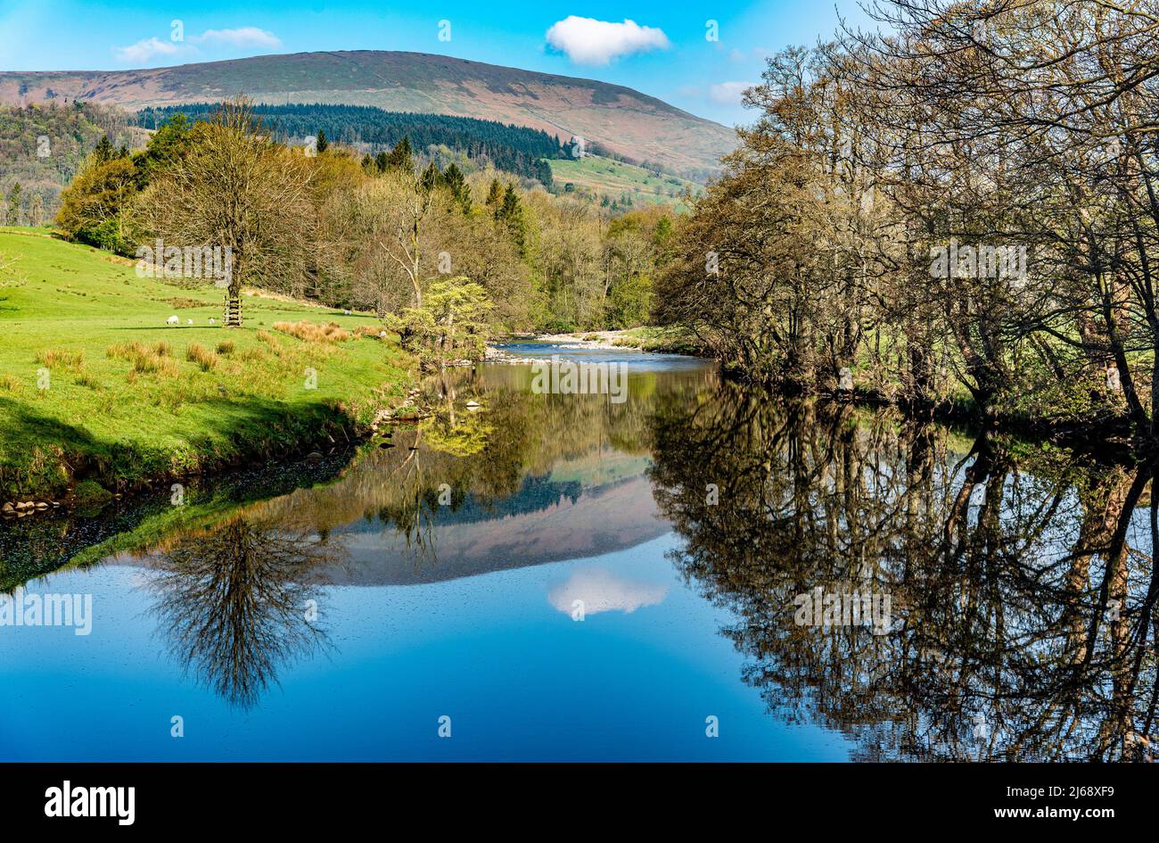 Whitewell, Clitheroe, Lancashire, UK  29th April 2022  A beautiful start to the day with the river Hodder still enough to reflect the trees and fells at Whitewell, Clitheroe, Lancashire, UK.  Credit John Eveson/Alamy Live News. Stock Photo