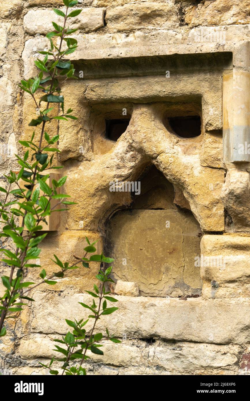 Face pareidolia, face image, Halloween, eye sockets, mouth shape, ugly face, human characteristics, seeing faces,  fake faces, gnarled old, angry man. Stock Photo