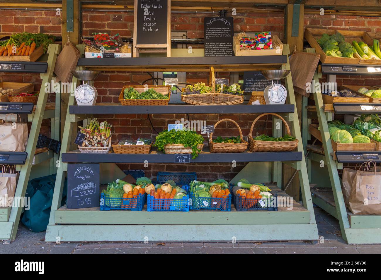 Fruit, vegetable display,  rhubarb, kale, organic, mushrooms, brown mushrooms, blood-oranges, green bananas, red apples, tomatoes, green apples, fruit Stock Photo