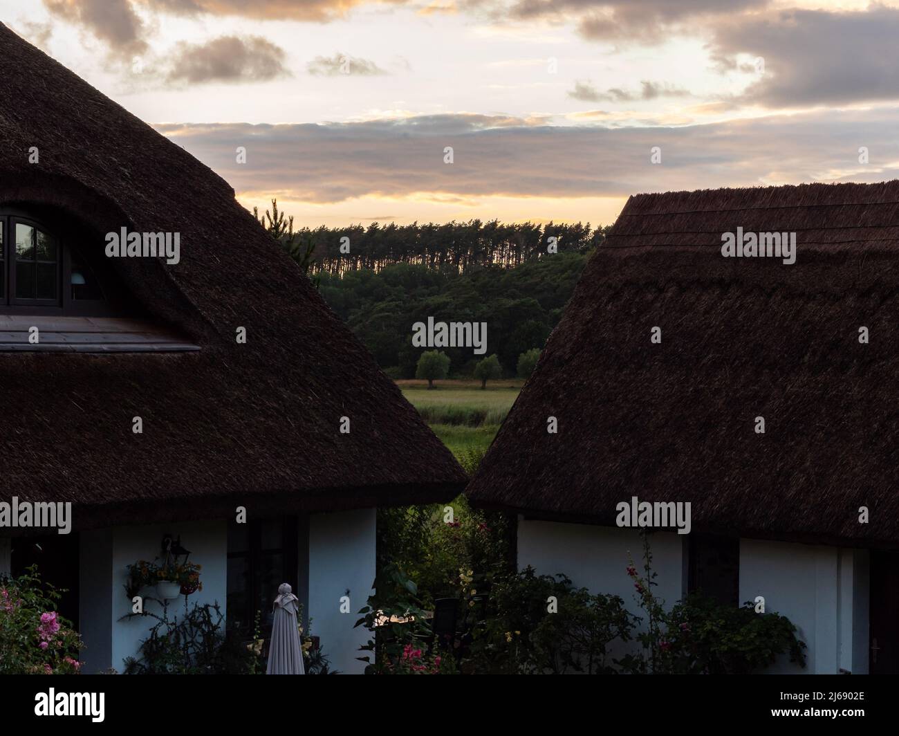 Beautiful sunset sky behind two houses with thatched roofs. Idyllic nature on Rügen island in Germany. Rural scene in the evening. Stock Photo