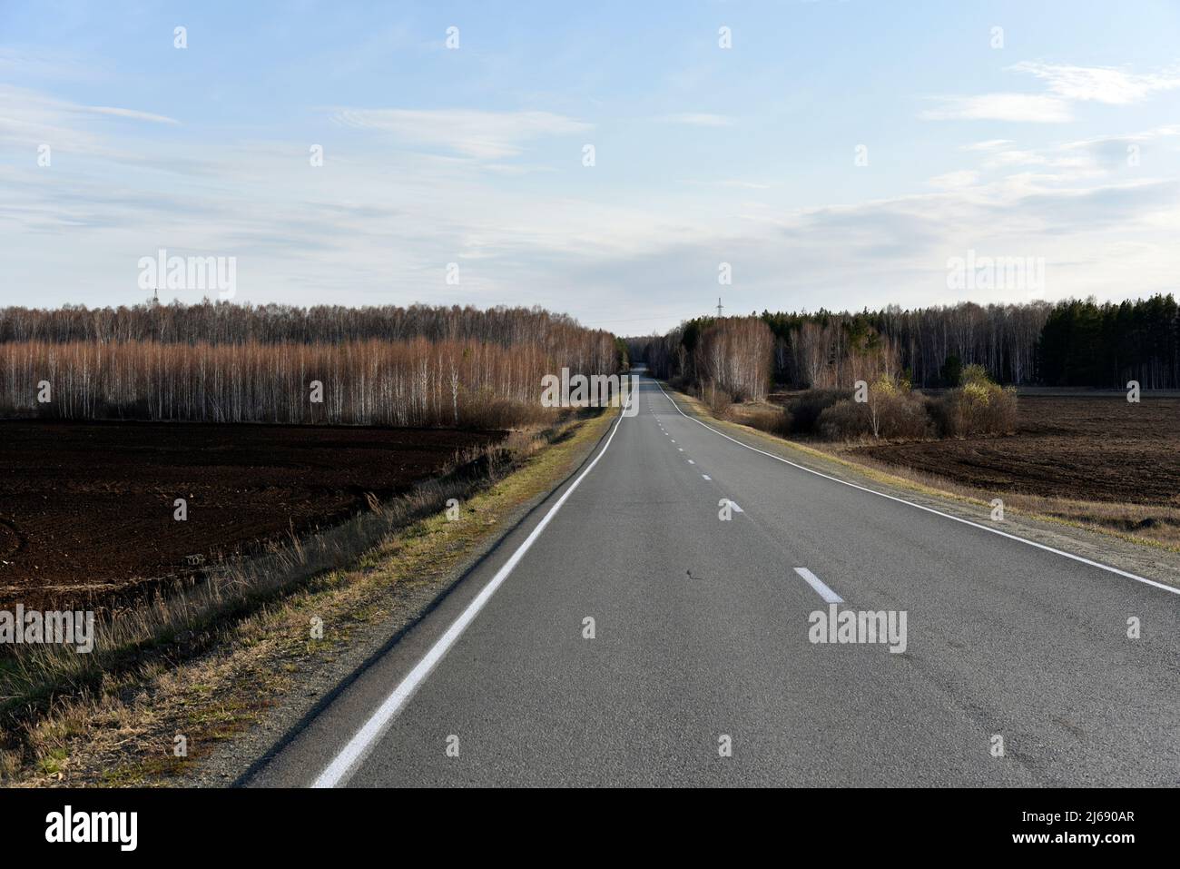 Expressway in the forest in spring afternoon Stock Photo - Alamy