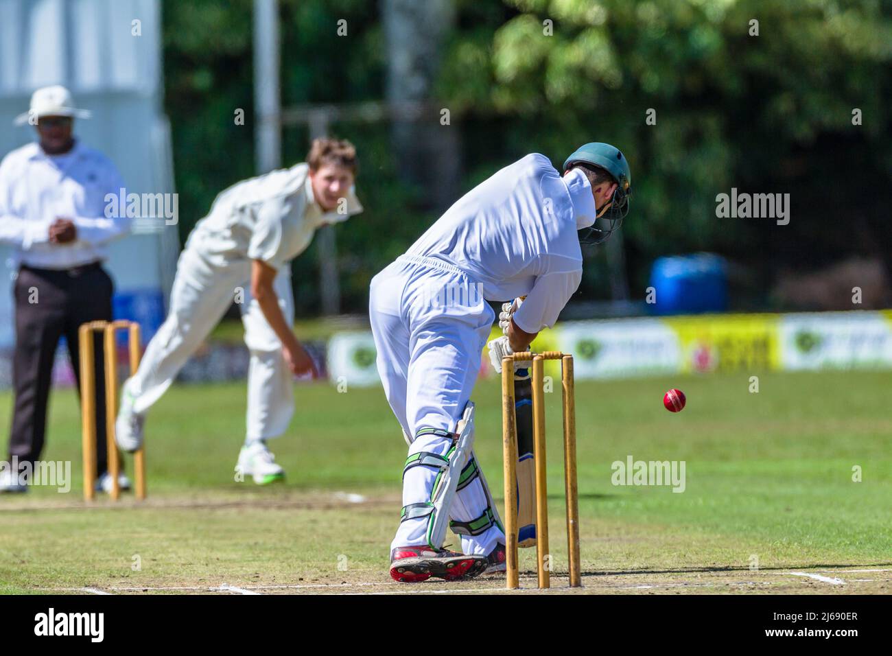 Cricket action batsman plays red ball delivered from bowler