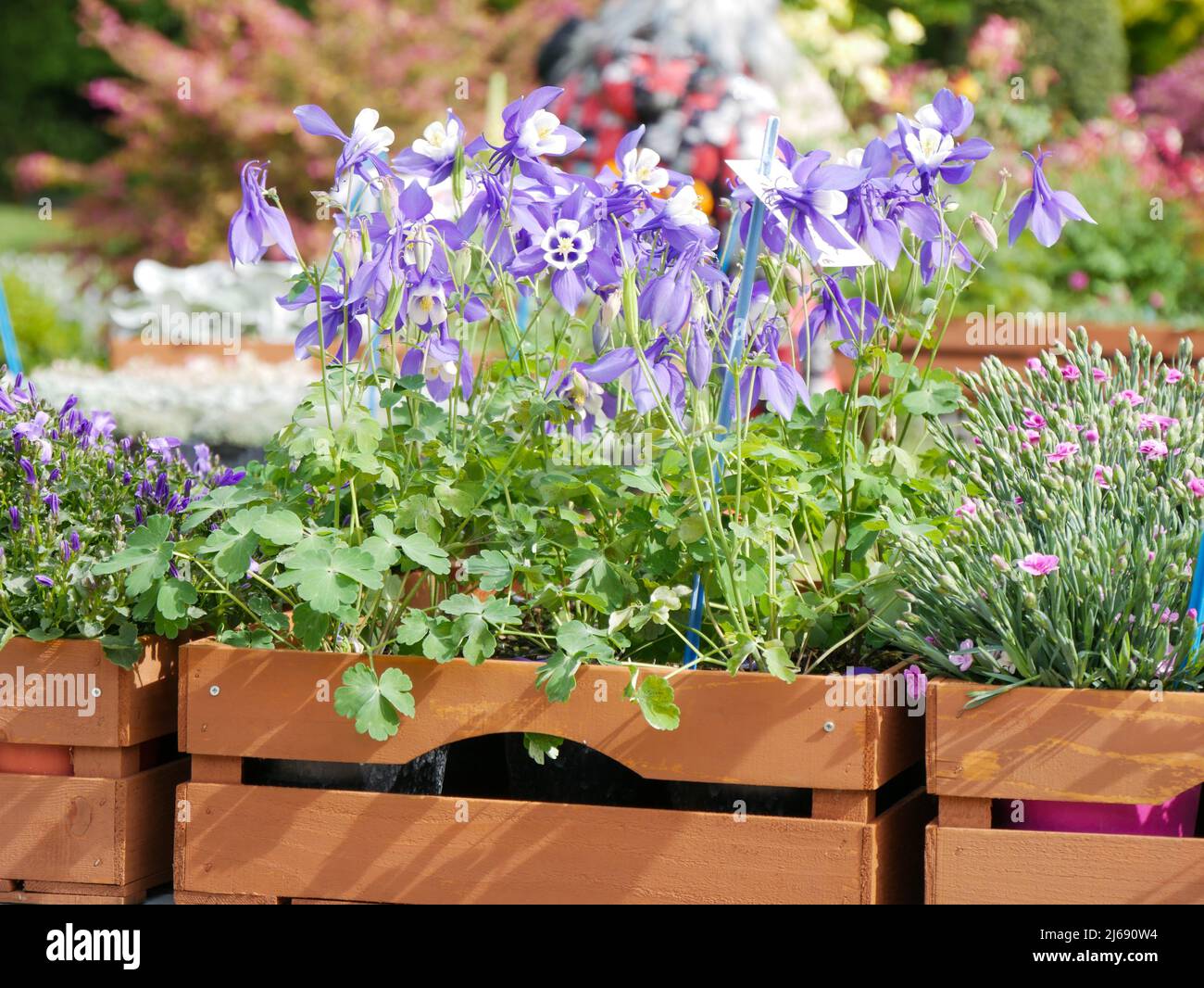 producers selling plants and flowers in the street in a spring city event Stock Photo