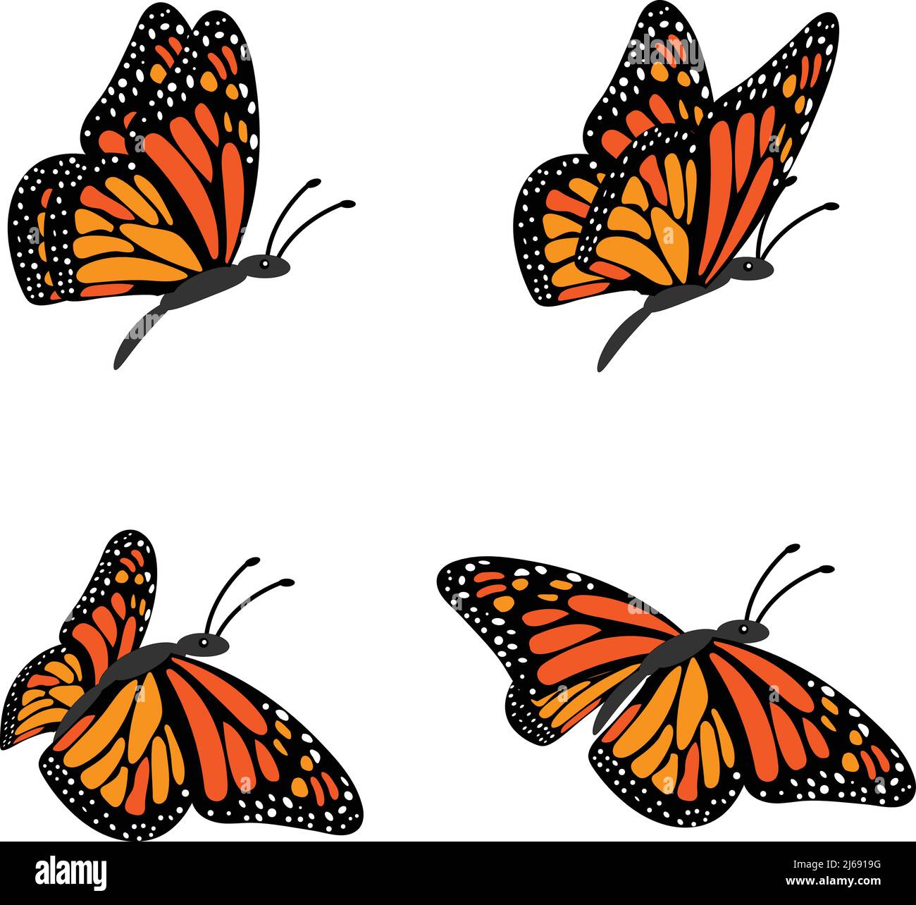 Butterflies vector illustration. Butterfly clip art or image Stock ...