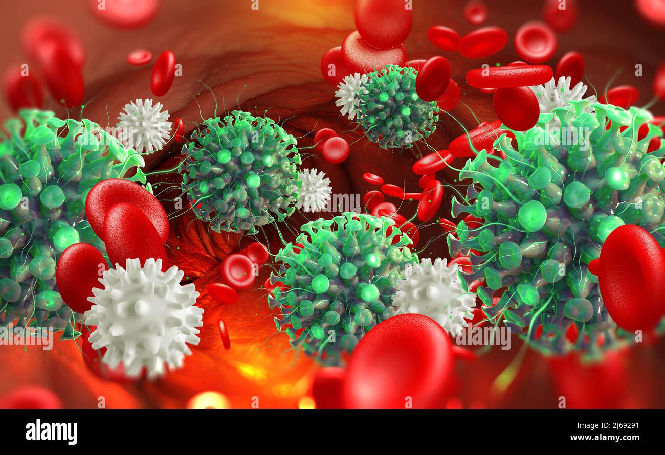 Viral Infection In Blood Immunity Fights Disease White Blood Cells