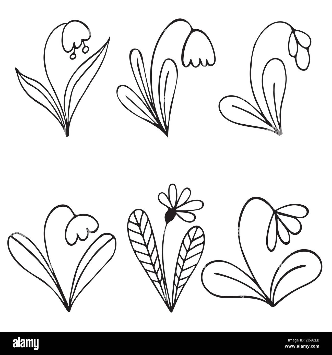 Set of Hand drawn doodle vector flowers, leaves and branches. Floral ...