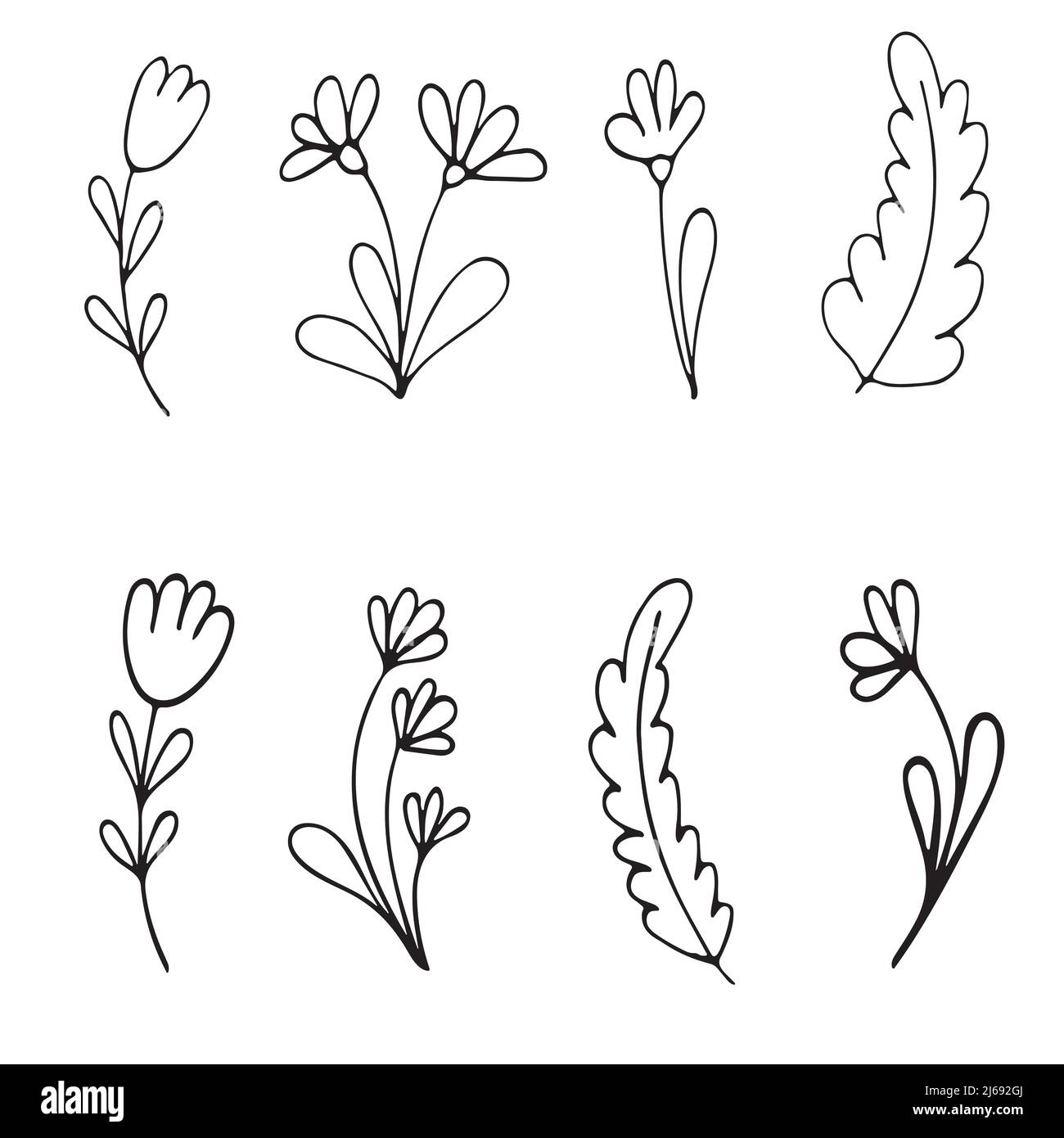 Hand drawn vector winter floral elements. Winter branches and leaves. Hand  drawn floral elements. Vintage botanical illustrations. Stock Vector