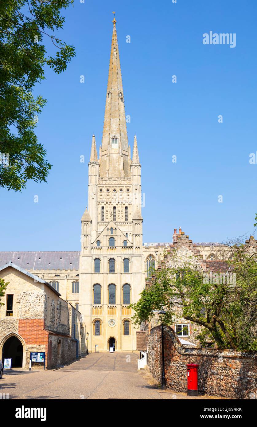 The Close, Norwich Cathedral and spire from the Cathedral Close, Norwich, Norfolk, East Anglia, England, United Kingdom Stock Photo