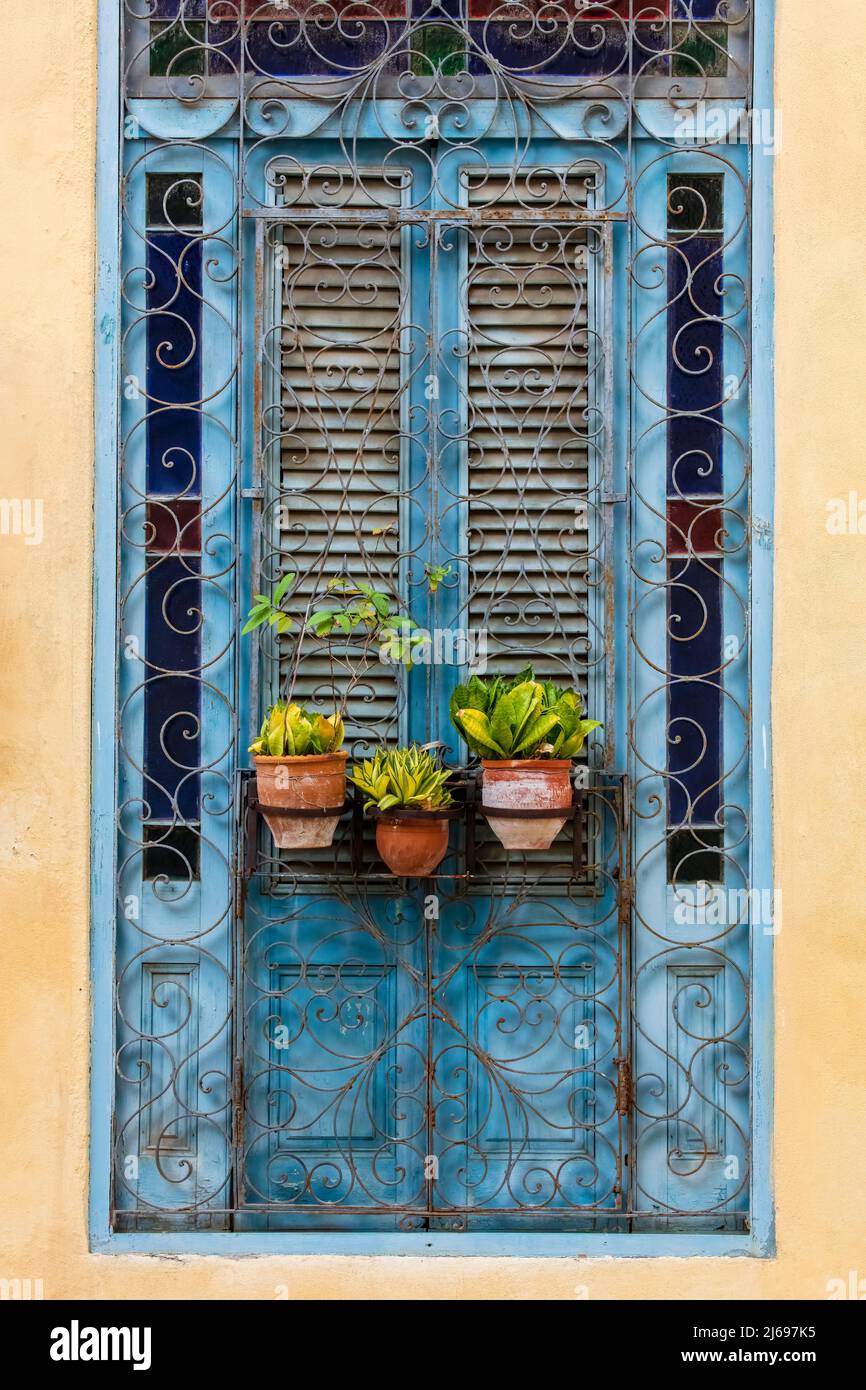 Plants in pots hanging on ornate doorway, Havana, Cuba, West Indies, Central America Stock Photo